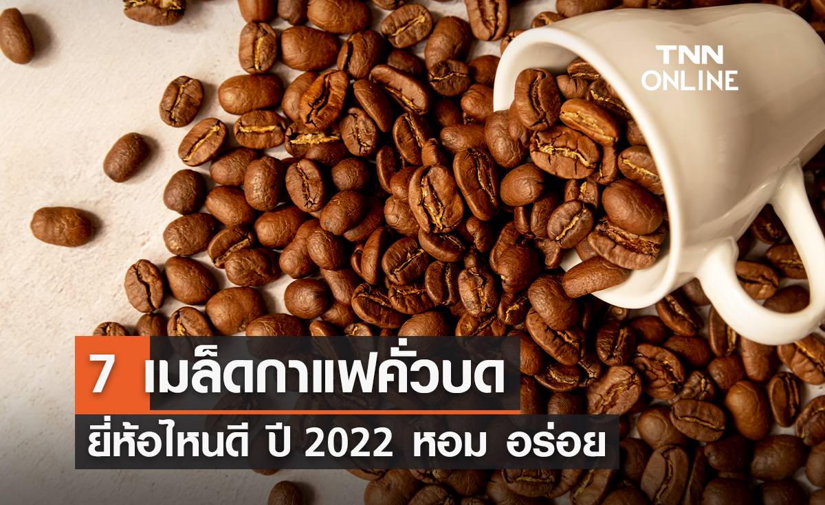 7 เมล็ดกาแฟคั่วบด ยี่ห้อไหนดี ปี 2023 ชงยังไงก็หอมอร่อย ถูกใจแน่นอน!