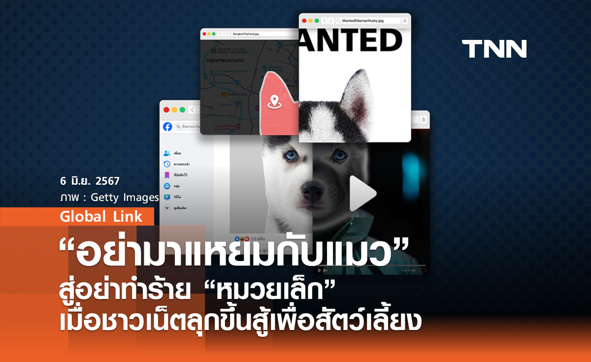 “อย่ามาแหยมกับแมว”  สู่อย่าทำร้าย “หมวยเล็ก”  เมื่อชาวเน็ตลุกขึ้นสู้เพื่อสัตว์เลี้ยง