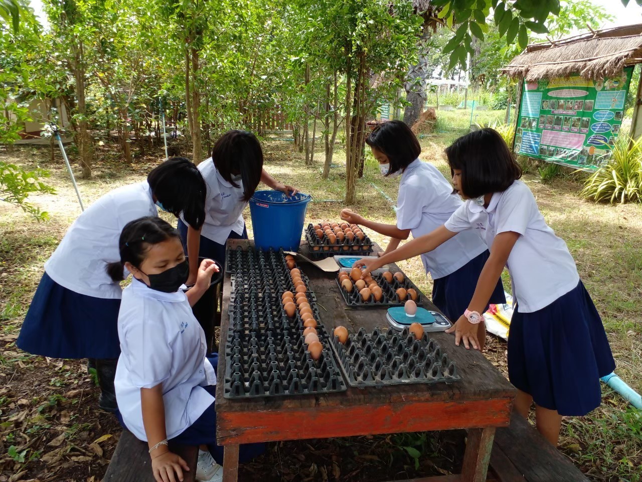 CPF ร่วมสร้างยุวเกษตรให้น้องๆรร.บ้านบุเขว้าจ.นครราชสีมา  ในโครงการคอนเน็กซ์ อีดี