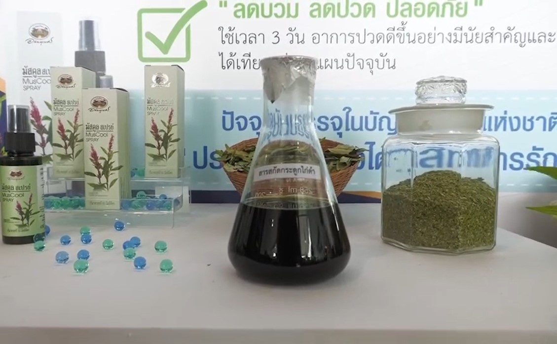 รมว.สาธารณสุข สั่งพัฒนาต่อยอดสมุนไพร “1 จังหวัด 1 ตัวยา” พร้อมย้ำกัญชา ทางแพทย์ยังอยู่! รมว.สาธารณสุข สั่งพัฒนาต่อยอดสมุนไพร “1 จังหวัด 1 ตัวยา” พร้อมย้ำกัญชา ทางแพทย์ยังอยู่!