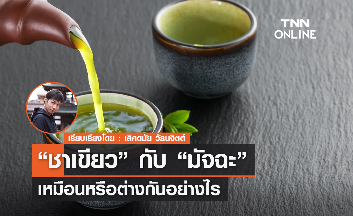 ไขความลับ ชาเขียว กับ มัจฉะ เหมือนหรือต่างกันอย่างไร?