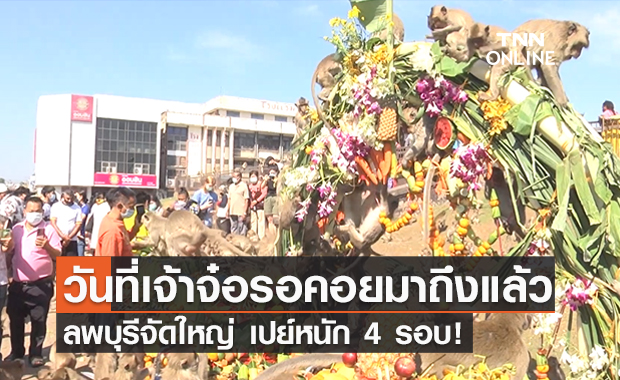 เปิดภาพงานเลี้ยง "โต๊ะจีนลิงลพบุรี" จัดยิ่งใหญ่ แจกวีลแชร์ให้ปชช. 100 คัน!