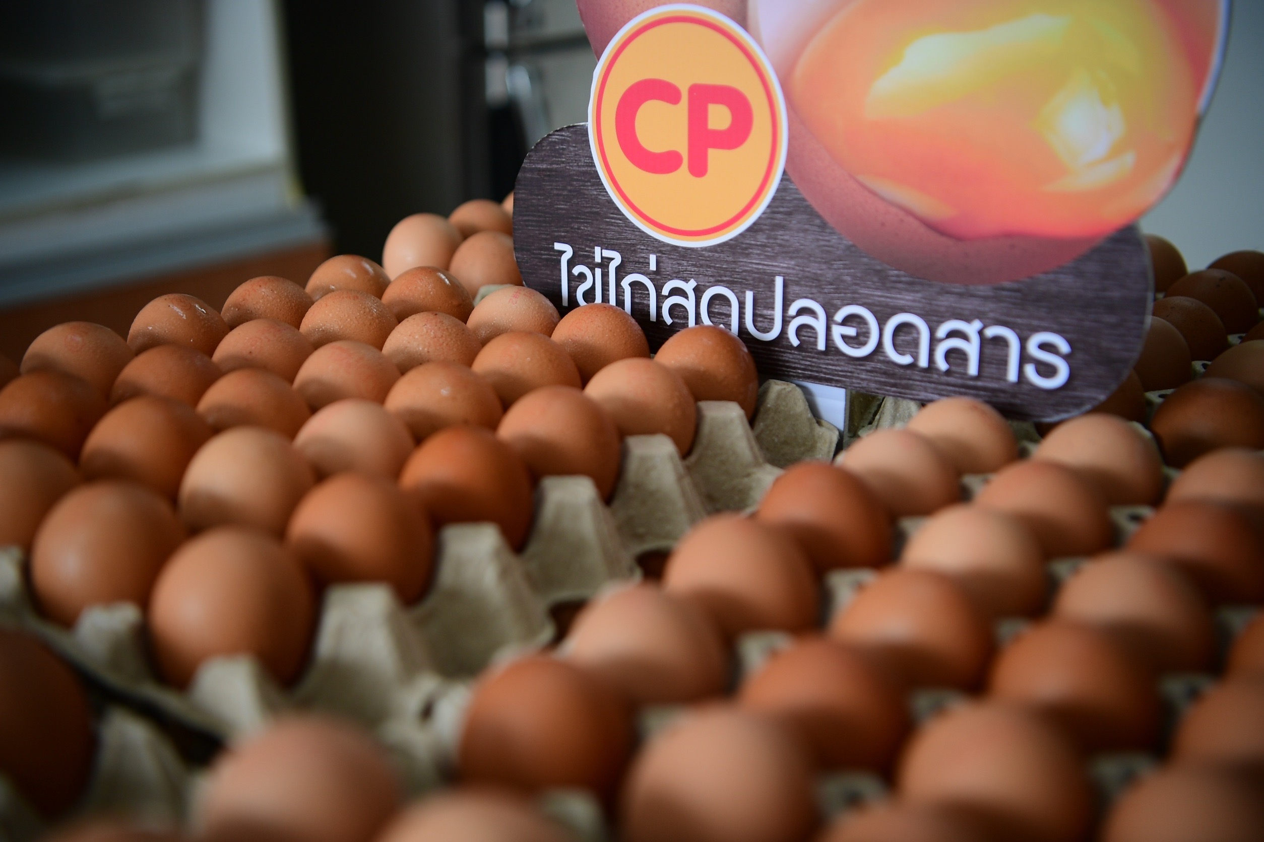 “ซีพีเอฟ” มอบไข่ไก่สดซีพี ช่วยครอบครัวผู้ป่วยเด็กบ้านพักพิงฯ มูลนิธิโรนัลด์ แมคโดนัลด์ฯ “ซีพีเอฟ” มอบไข่ไก่สดซีพี ช่วยครอบครัวผู้ป่วยเด็กบ้านพักพิงฯ มูลนิธิโรนัลด์ แมคโดนัลด์ฯ