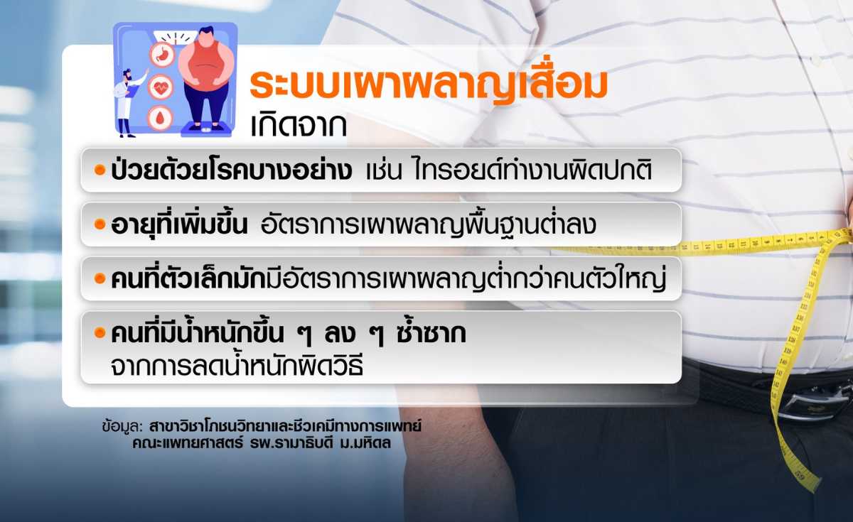 ระบบเผาผลาญพัง คุมอาหาร-ออกกำลังกายก็ไม่ผอม ระบบเผาผลาญพัง คุมอาหาร-ออกกำลังกายก็ไม่ผอม