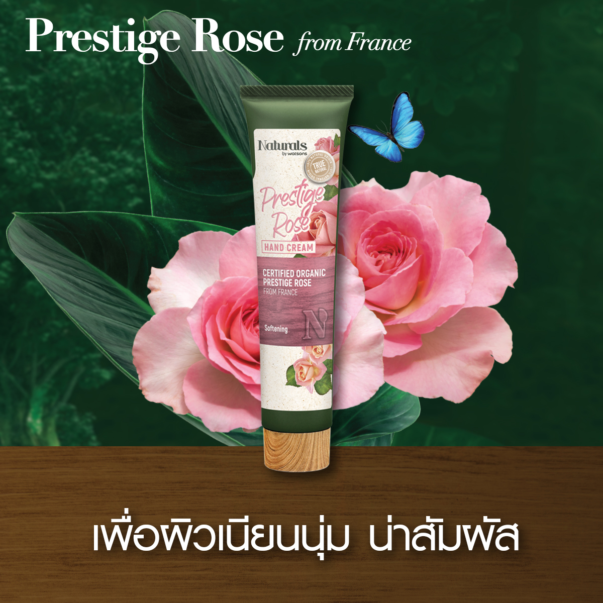 วัตสัน เปิดตัวผลิตภัณฑ์ใหม่ Naturals by Watsons เอาใจสายออร์แกนิก วัตสัน เปิดตัวผลิตภัณฑ์ใหม่ Naturals by Watsons เอาใจสายออร์แกนิก