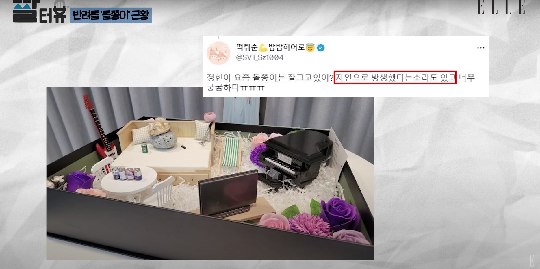 “จองฮัน” วง “SEVENTEEN”  แก้ข่าวลือปล่อย “หิน” เข้าป่าไปแล้ว [มีคลิป]