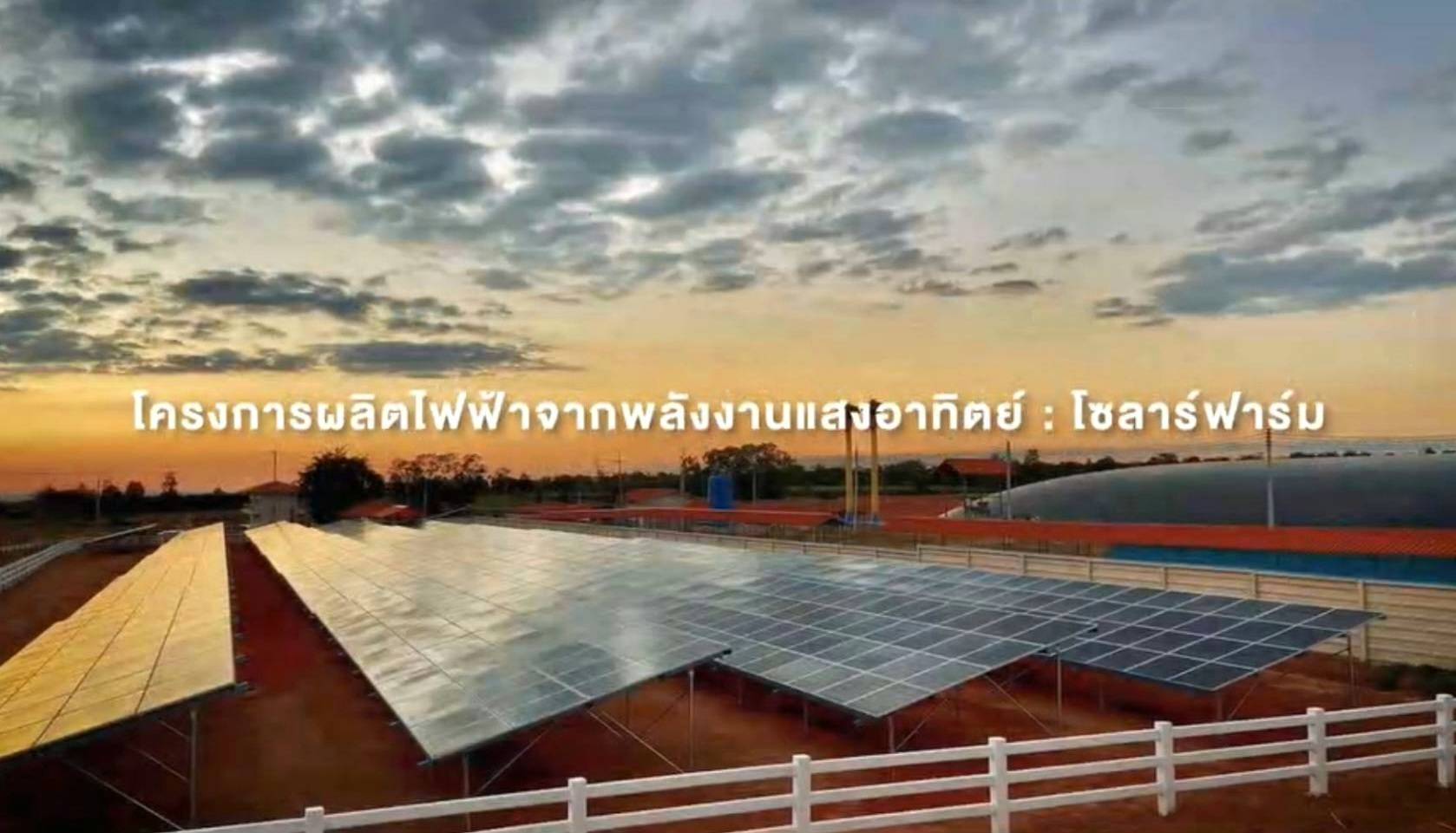 ตามไปดู CPF Greenfarm เลี้ยงหมูปลอดสาร เป็นมิตรสิ่งแวดล้อม ตามไปดู CPF Greenfarm เลี้ยงหมูปลอดสาร เป็นมิตรสิ่งแวดล้อม