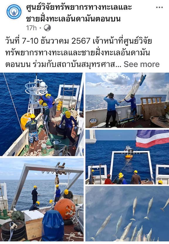 เปิดภาพฝูงโลมาโผล่ทักทายเจ้าหน้าที่วางทุ่นสำรวจสมุทรศาสตร์ฯ กลางทะเลอันดามัน