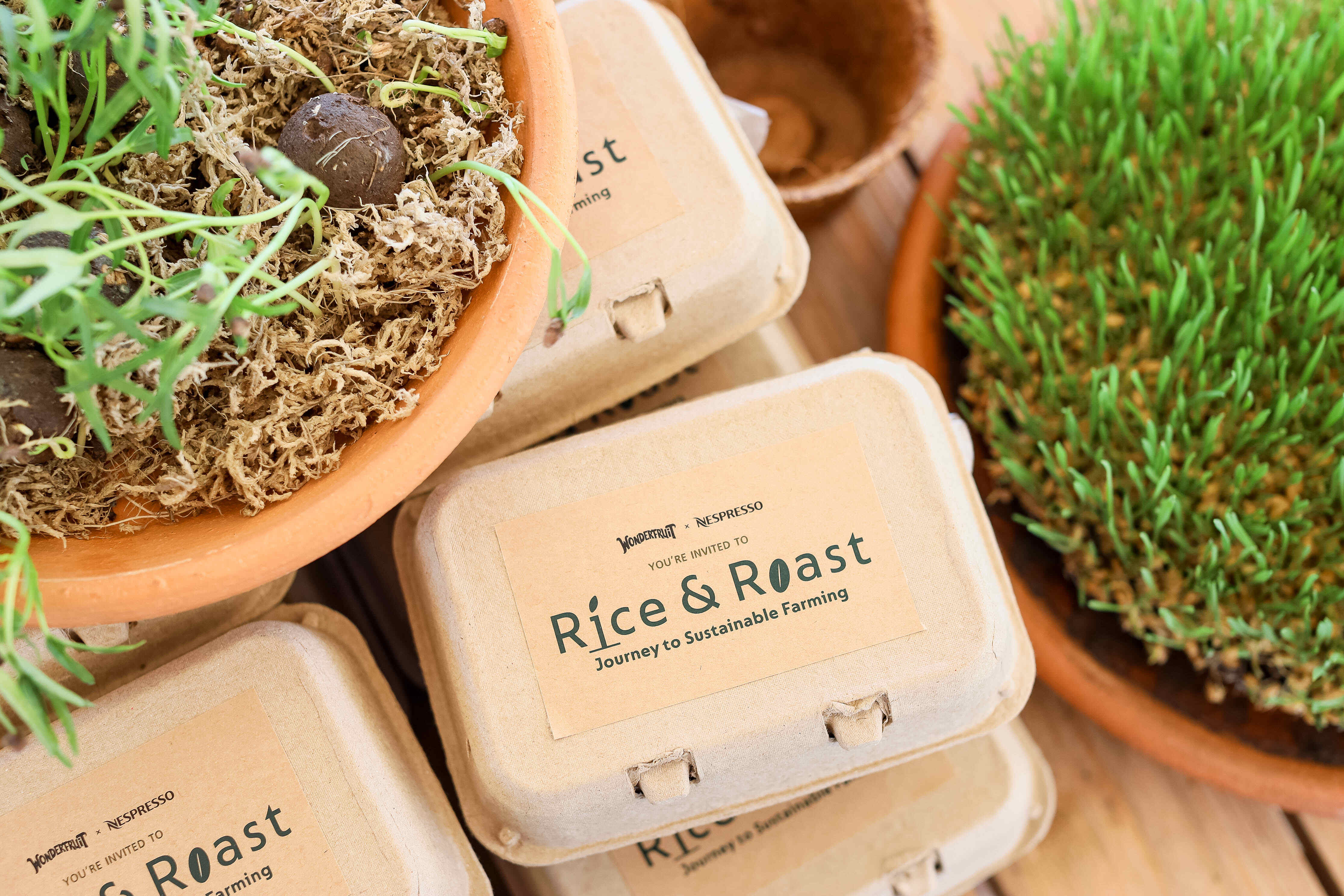 เนสเพรสโซจับมือวันเดอร์ฟรุ๊ต จัดกิจกรรม Nespresso x Wonderfruit Rice & Roast: Journey to Sustainable Farming