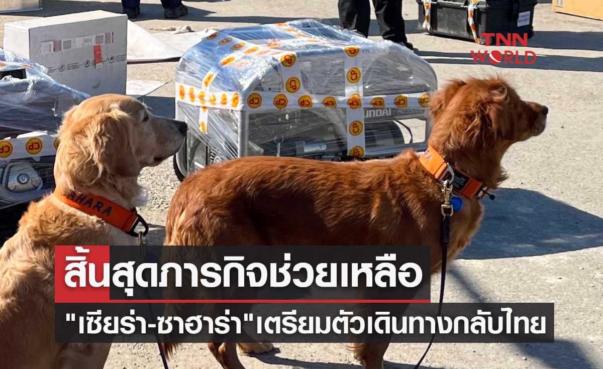สิ้นสุดภารกิจช่วยเหลือ เปิดภาพ เซียร่า-ซาฮาร่า 2 สุนัขกู้ภัย เตรียมตัวเดินทางกลับไทย