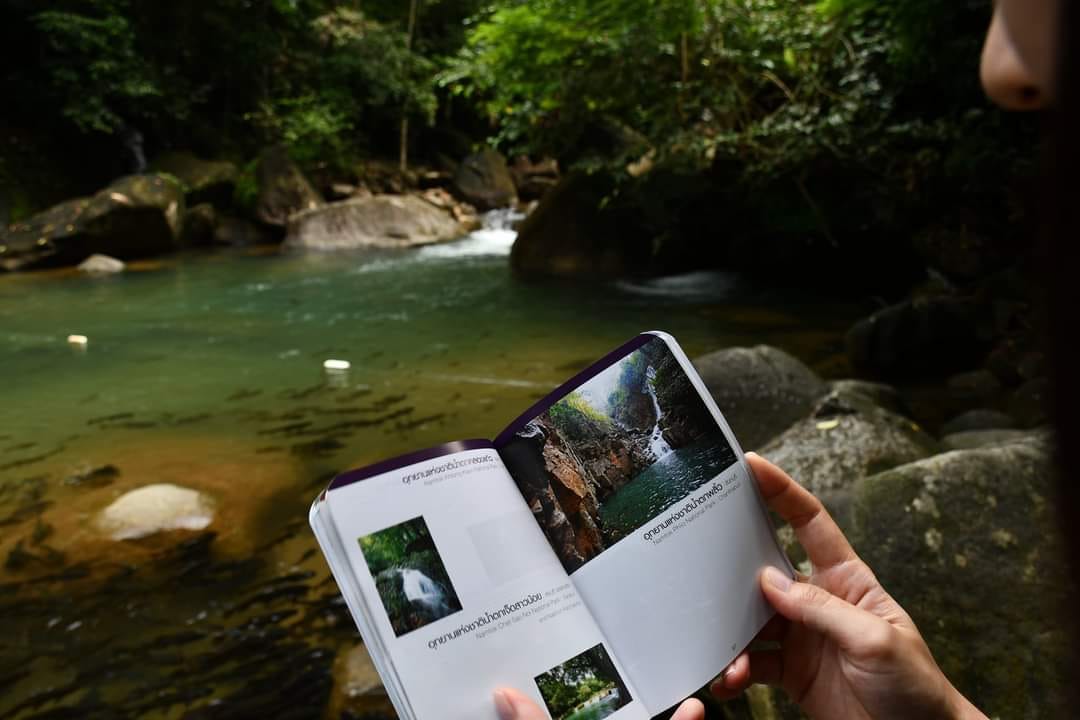กรมอุทยานฯ จัดแคมเปญพาสปอร์ต ประทับตราครบทุกที่ เข้าฟรี 1 ปี พักฟรี 2 ครั้ง กรมอุทยานฯ จัดแคมเปญพาสปอร์ต ประทับตราครบทุกที่ เข้าฟรี 1 ปี พักฟรี 2 ครั้ง