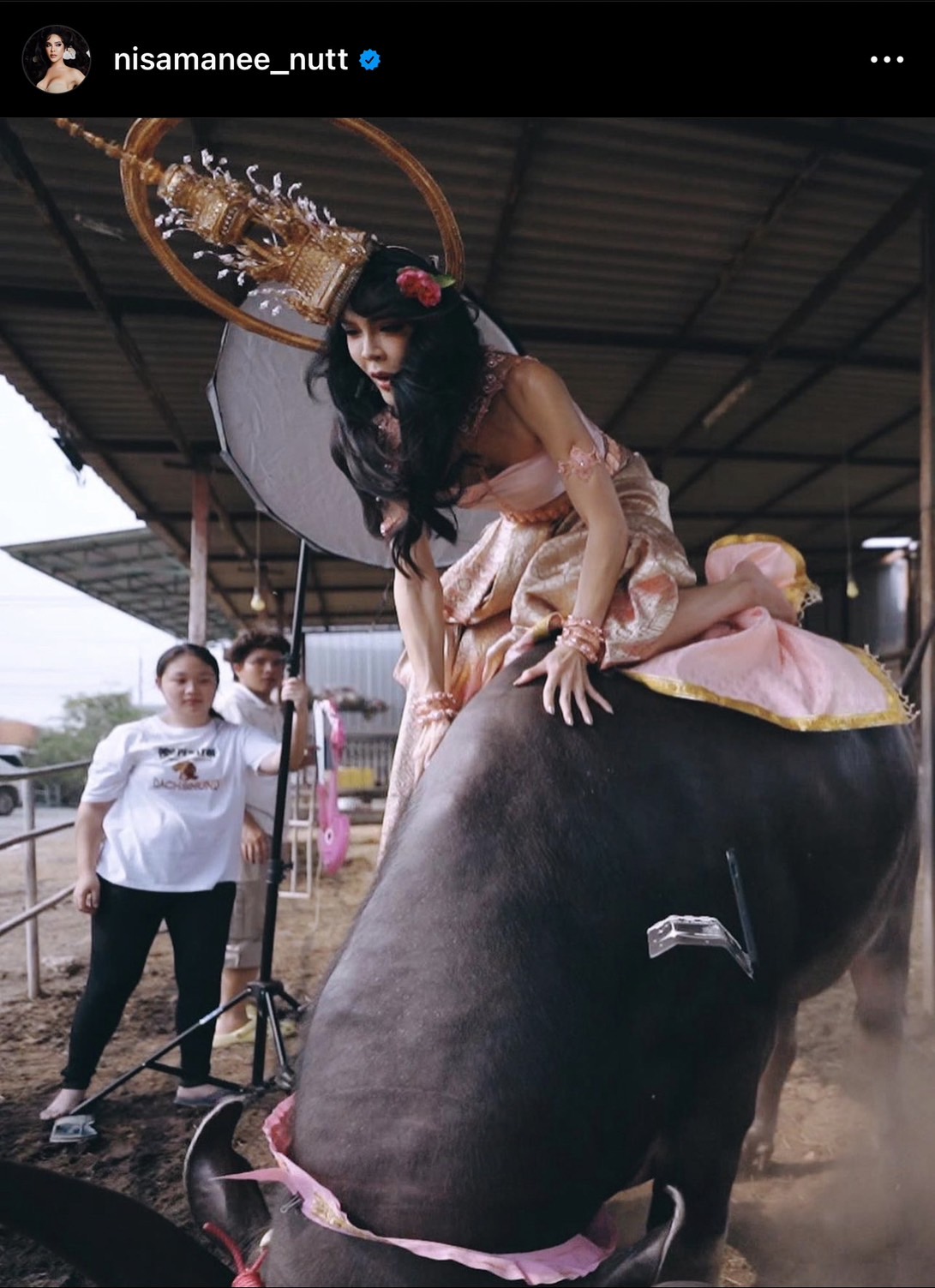 ทุ่มเทสุดๆ นัท นิสามณี หวิดดับ ถ่ายคอนเทนต์ พลาดตกหลังควาย