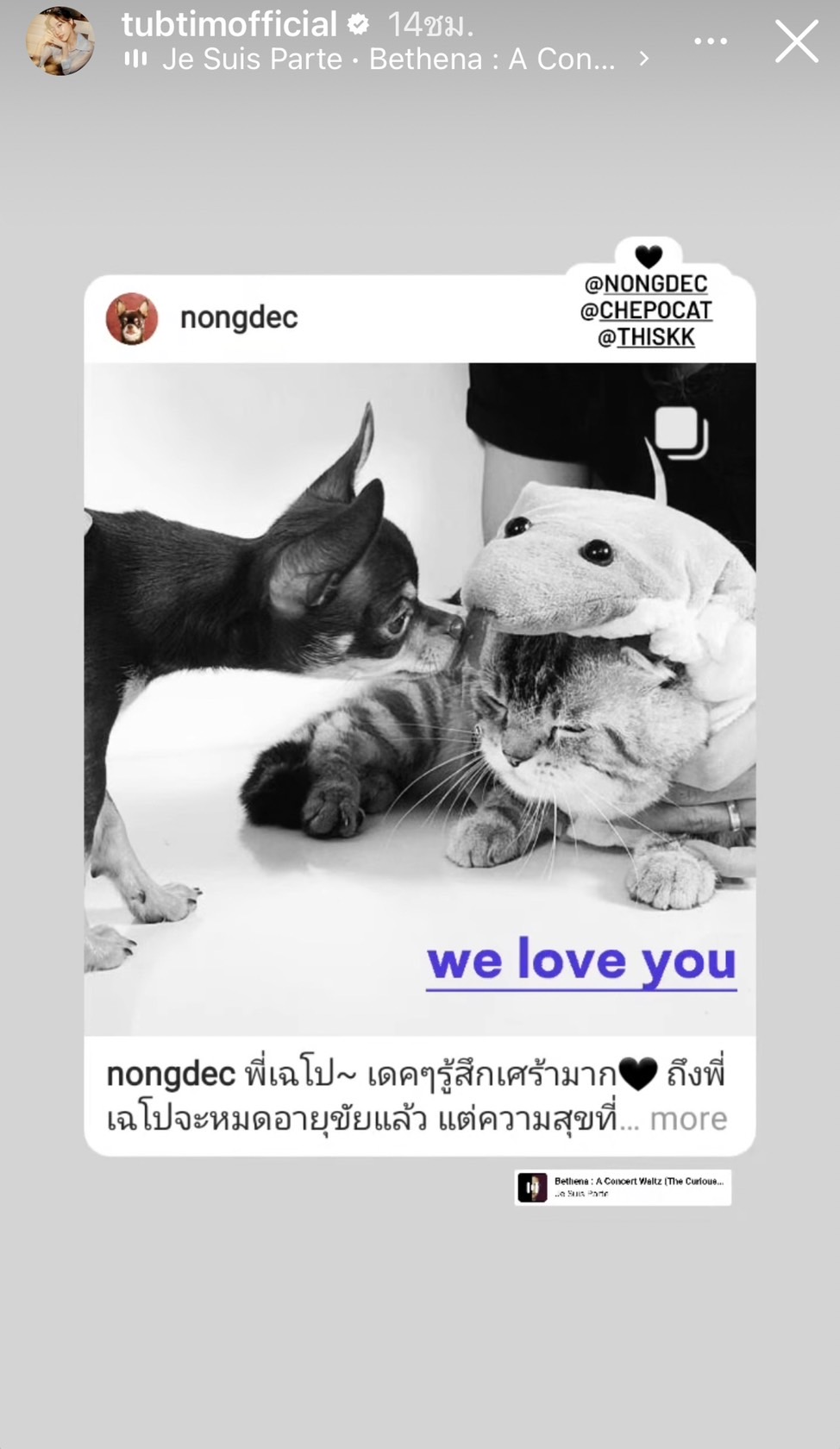 แมวเฉโป บอกลานุด ย้อนตำนานเหมียวหน้าเหวี่ยง จาก VRZO แมวเฉโป บอกลานุด ย้อนตำนานเหมียวหน้าเหวี่ยง จาก VRZO