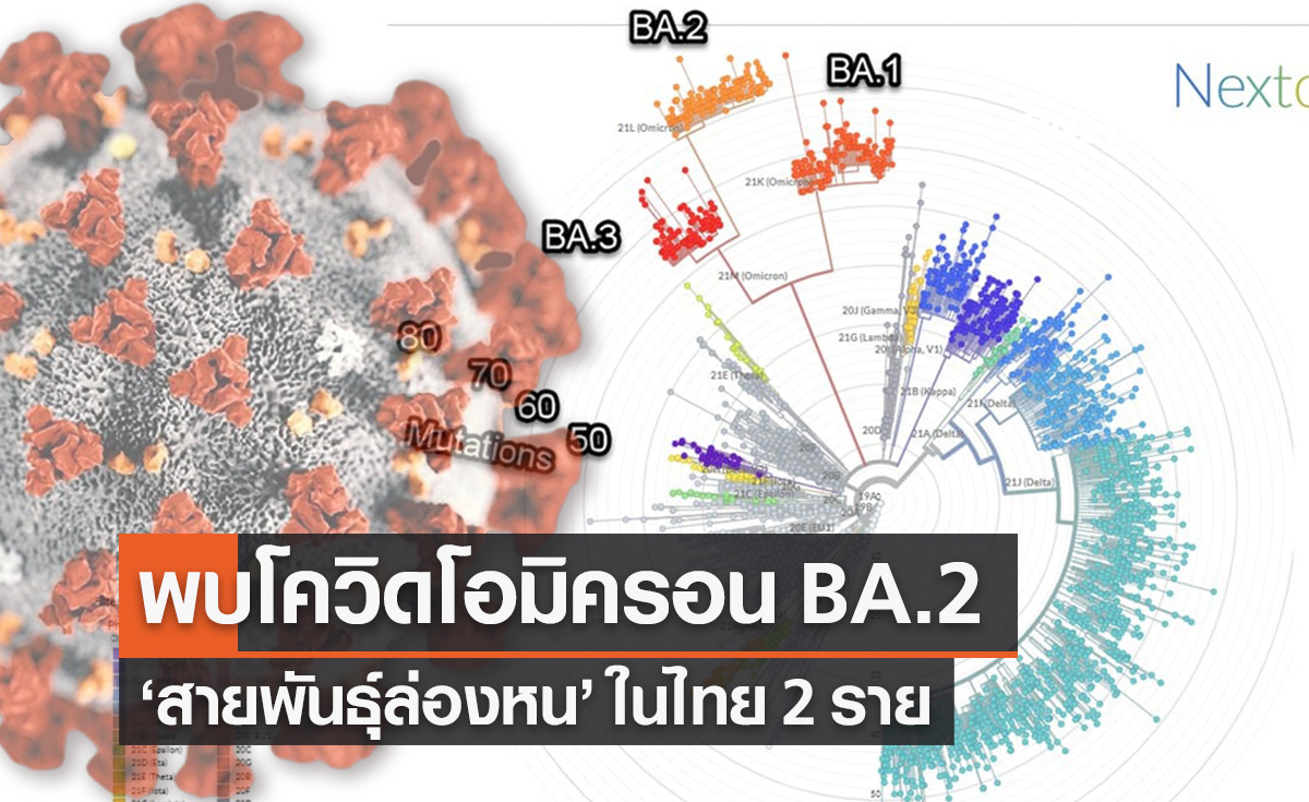ศูนย์จีโนมฯพบโอมิครอน BA.2 สายพันธุ์ล่องหนในไทย 2 ราย 