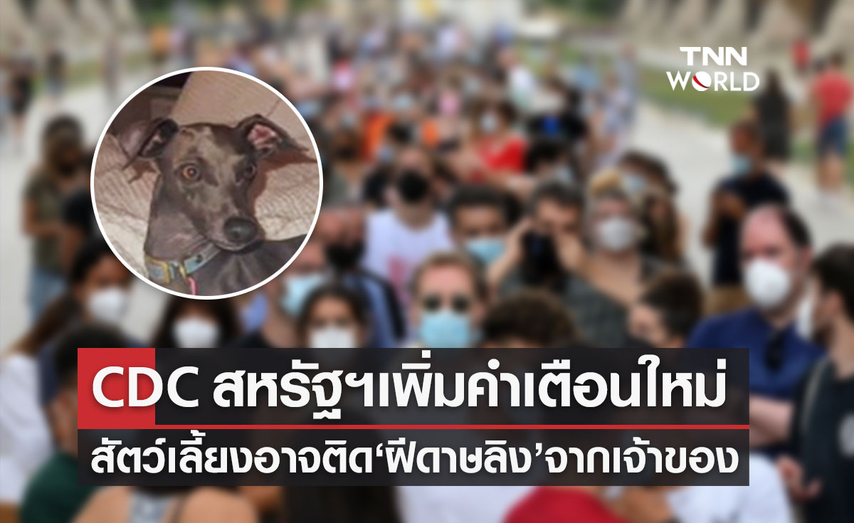CDC เพิ่มคำเตือนสัตว์เลี้ยงอาจติด "ฝีดาษลิง" จากเจ้าของ ย้ำไม่จำเป็นต้องการุณยฆาต