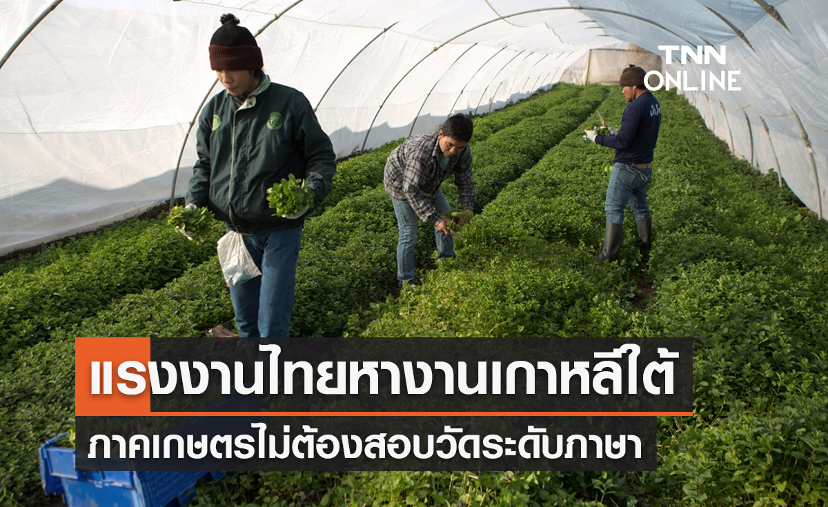 หางานเกาหลีใต้ถูกกม.มีข่าวดี! แรงงานภาคเกษตรไม่ต้องสอบภาษา