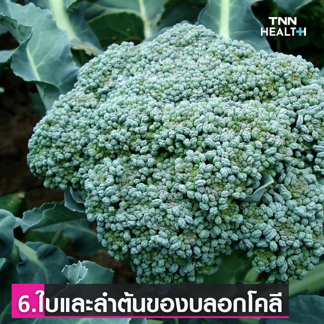 เปลือก-ต้นของผักผลไม้ที่คุณทิ้ง แต่ที่จริงแล้วกินได้ แถมดีต่อสุขภาพ