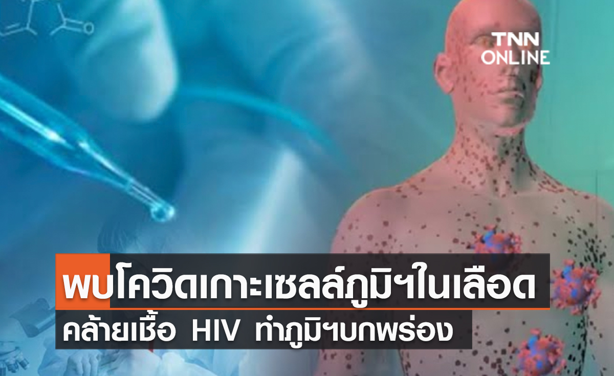 (คลิป) พบโควิดเกาะเซลล์ภูมิฯในเลือด คล้ายเชื้อ HIV ทำภูมิฯบกพร่อง