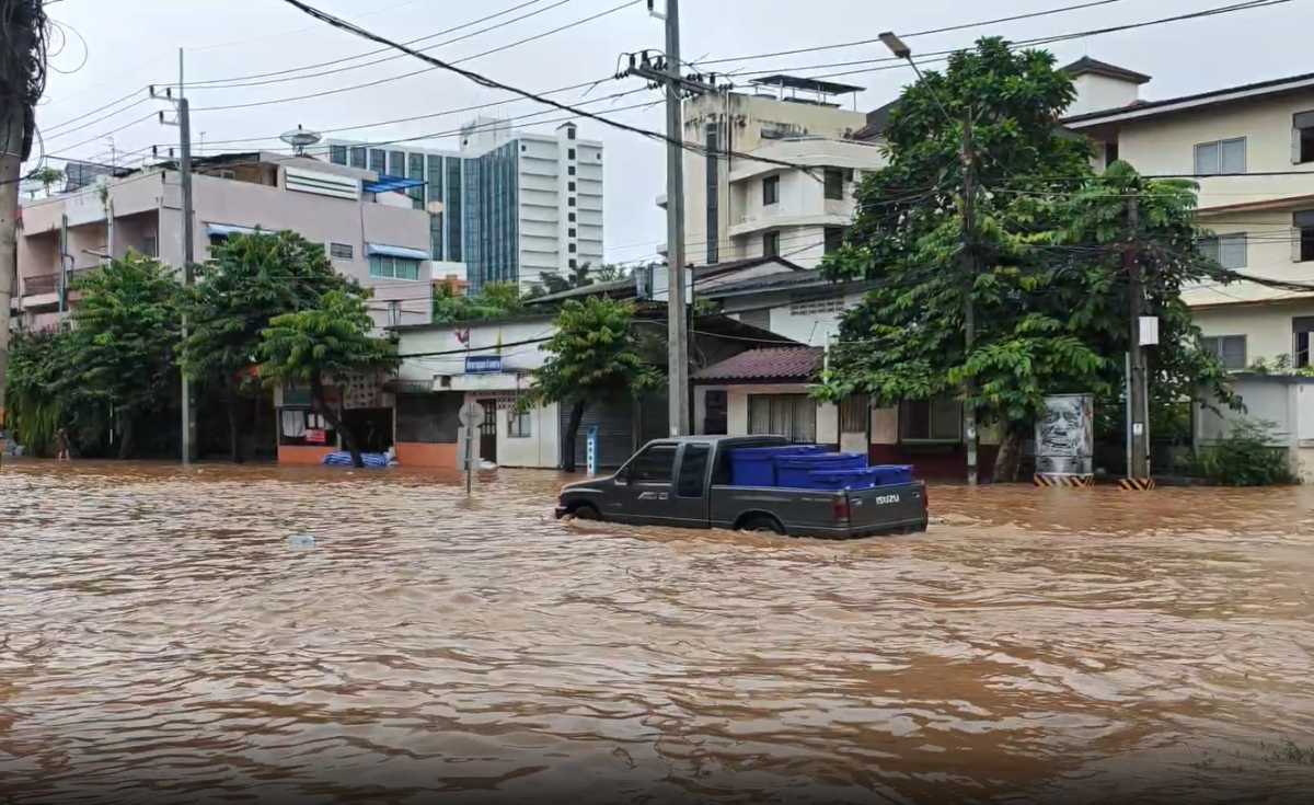 น้ำปิงวิกฤต ล้นท่วมถนนช้างคลาน ย่านเศรษฐกิจเชียงใหม่ น้ำปิงวิกฤต ล้นท่วมถนนช้างคลาน ย่านเศรษฐกิจเชียงใหม่