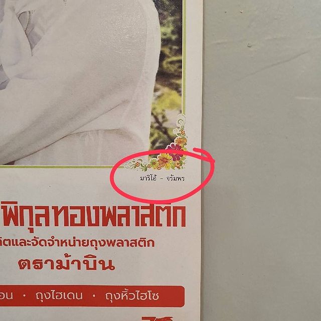 ทำไมนะ ทำไม . . . ฉัน เต้ย จรินทร์พร นะคะ