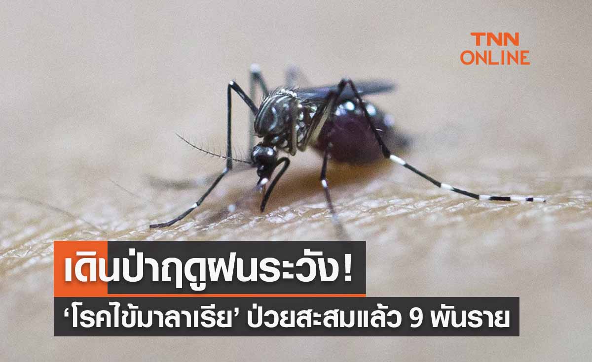 เดินป่าฤดูฝนระวัง! ‘โรคไข้มาลาเรีย’ ล่าสุดป่วยสะสมแล้ว 9 พันราย 