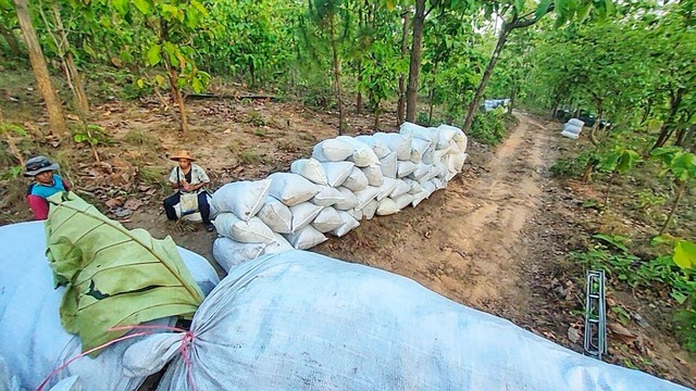 รองผู้ว่าฯ เชียงใหม่ ลงพื้นที่ตรวจเยี่ยมให้กำลังใจชุมชนในโครงการ “ป่าปลอดเผา” อ.เวียงแหง จ.เชียงใหม่ สนับสนุนโดยเครือซีพี