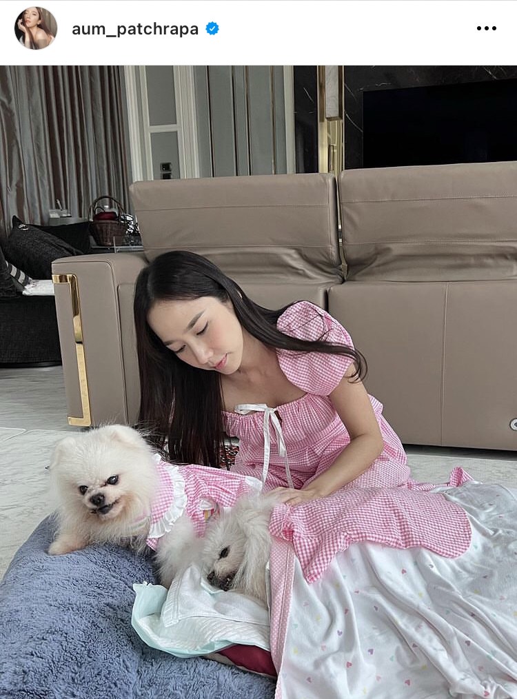 อั้ม สุดเศร้าจำใจต้องลาพี่เติ้ลน้องหมาสุดรักครั้งสุดท้าย