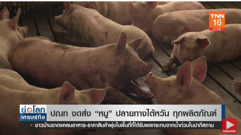 เช็คด่วน! ไปรษณีย์ไทยงดส่ง “หมู” ปลายทางไต้หวันทุกผลิตภัณฑ์! เช็คด่วน! ไปรษณีย์ไทยงดส่ง “หมู” ปลายทางไต้หวันทุกผลิตภัณฑ์!