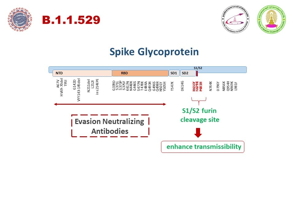 หมอยง ชี้โควิดสายพันธุ์ใหม่ B.1.1.529 แพร่เร็ว-ดื้อวัคซีน แนะคุมนทท.แอฟริกาใต้ หมอยง ชี้โควิดสายพันธุ์ใหม่ B.1.1.529 แพร่เร็ว-ดื้อวัคซีน แนะคุมนทท.แอฟริกาใต้