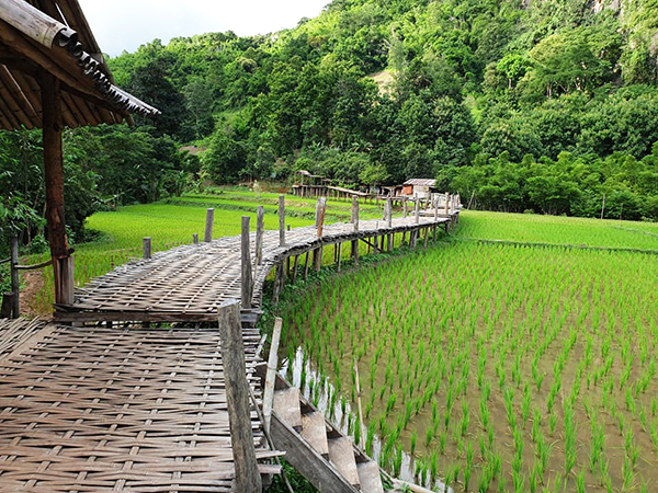 10 ที่เที่ยวแพร่ 2565 สัมผัสเสน่ห์เมืองล้านนา เมืองรองต้องห้ามพลาด
