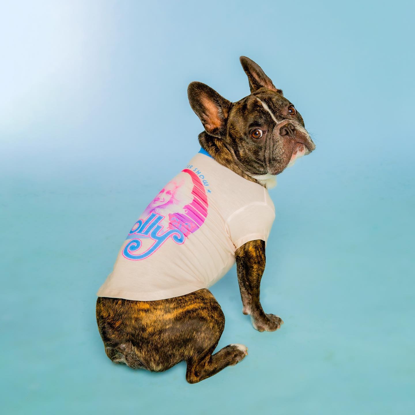 Dolly Parton เปิดแบรนด์ขายสินค้าสำหรับสัตว์น้องหมา Doggy Parton Dolly Parton เปิดแบรนด์ขายสินค้าสำหรับสัตว์น้องหมา Doggy Parton