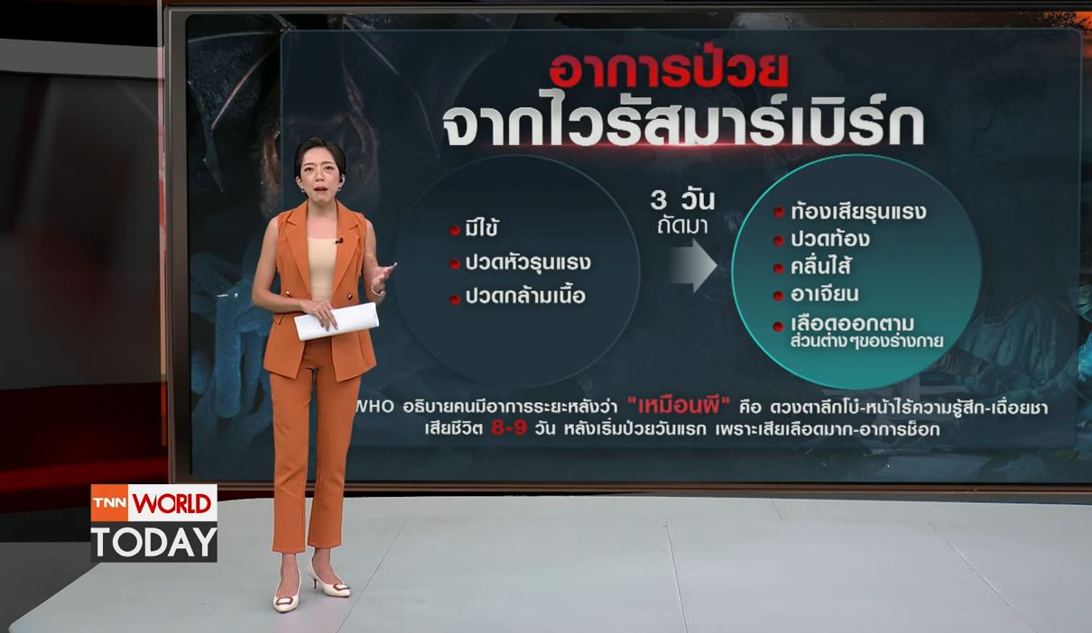 จับตา ไวรัสมาร์เบิร์ก ระบาดในแอฟริกา 