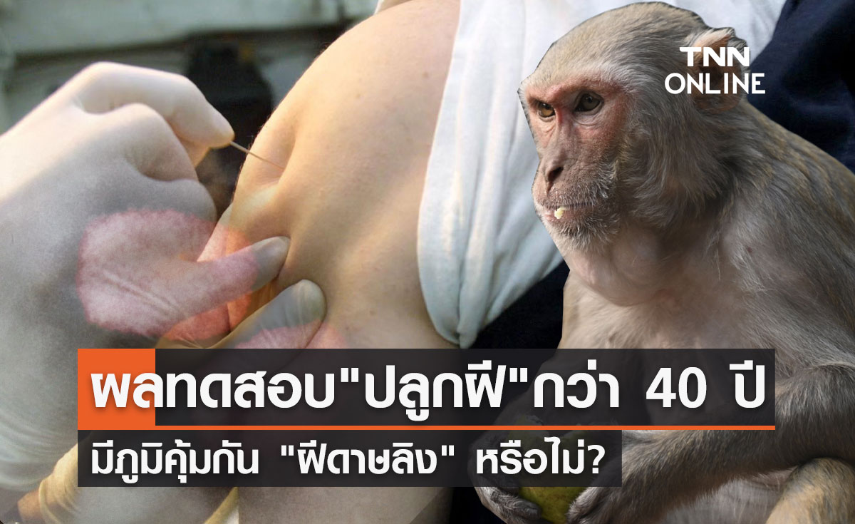 กรมวิทย์ฯเปิดผลทดสอบ "ปลูกฝี" กว่า 40 ปี มีภูมิคุ้มกัน "ฝีดาษลิง" หรือไม่?