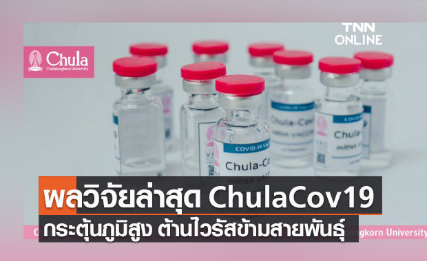จุฬาฯ เผยผลวิจัยล่าสุด วัคซีน ChulaCov19 กระตุ้นภูมิสูง ต้านไวรัสข้ามสายพันธุ์