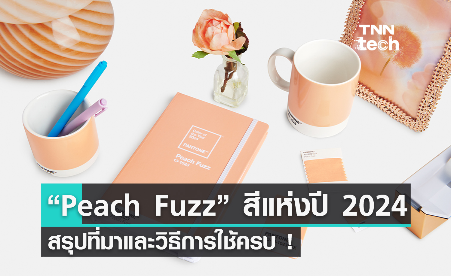 มาแล้ว ! “Peach Fuzz”​ เป็น Color of The Year 2024 ว่าที่สีใหม่ยอดฮิตในปีหน้า มาพร้อมวิธีใช้งานกับทุกการออกแบบ