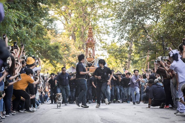 ย้อนไทม์ไลน์คดี “เตี้ย มช.” ตำนานรับน้องขึ้นดอย บทสรุปของการต่อสู้ทางกม. ย้อนไทม์ไลน์คดี “เตี้ย มช.” ตำนานรับน้องขึ้นดอย บทสรุปของการต่อสู้ทางกม.