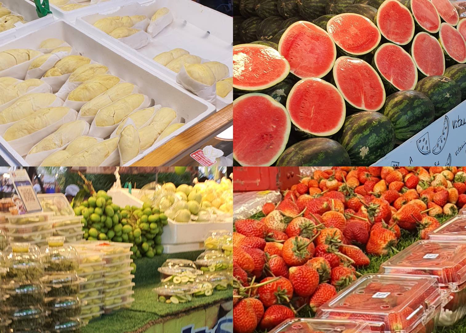 พาเที่ยวงานเกษตรแฟร์ 2566 ตะลุยกินอาหารร้านเด็ดอร่อยๆ ช้อปปิ้งสินค้า