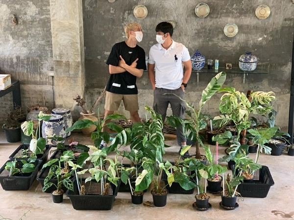 เคน ภูภูมิ ไลฟ์ประมูลต้นไม้ ได้ 8 แสนกว่า สมบททุนให้ครบ 1 ล้าน มอบให้โรงพยาบาล เคน ภูภูมิ ไลฟ์ประมูลต้นไม้ ได้ 8 แสนกว่า สมบททุนให้ครบ 1 ล้าน มอบให้โรงพยาบาล