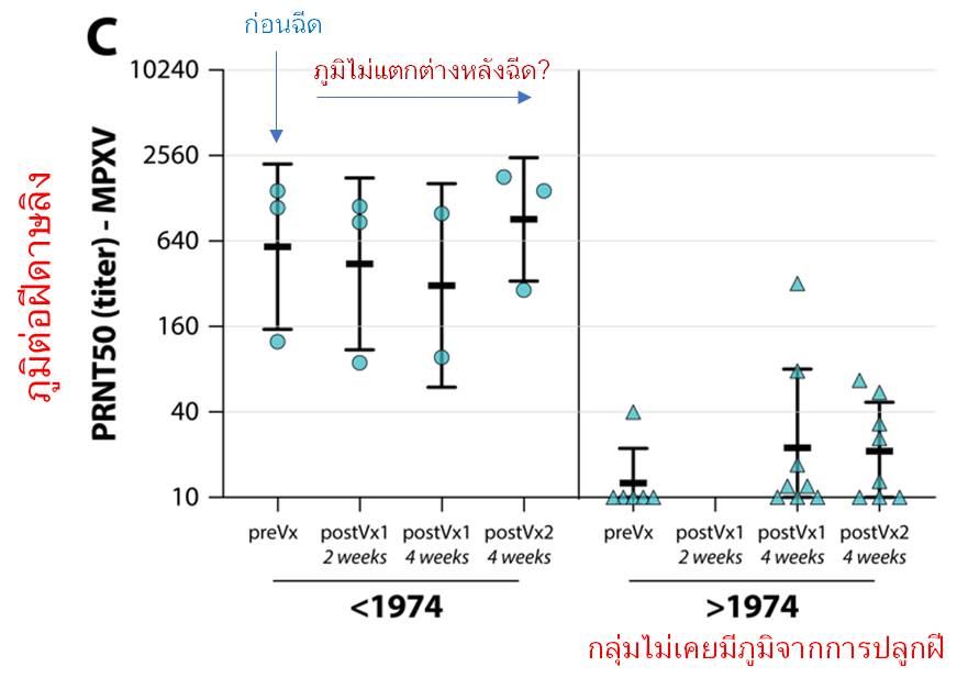 ภูมิคุ้มกันจากการปลูกฝีในอดีต ยังมีป้องกัน ฝีดาษลิง ได้อยู่หรือไม่?
