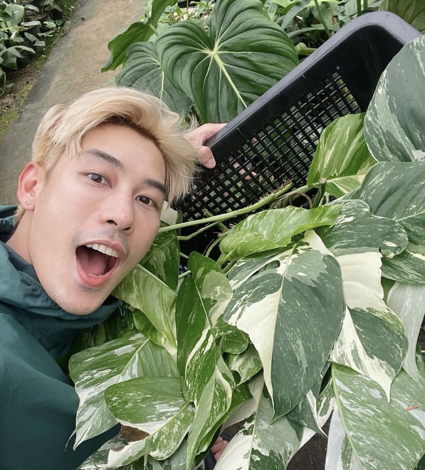 ราคาสูงลิ่ว เคน ภูภูมิ เปิดประมูลกล้วยด่าง ไม่กี่ชั่วโมงปิดที่ 120,000 !!