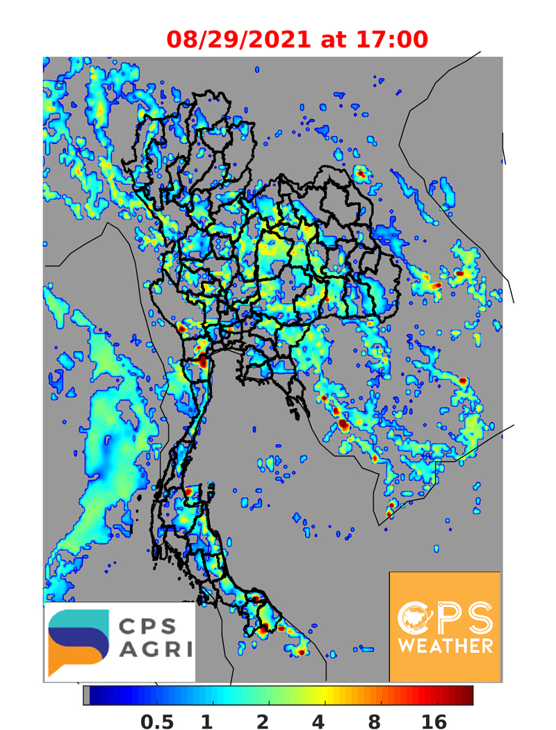 พยากรณ์ฝนวันนี้ พื้นที่ไหนชุ่มฉ่ำ ตกหนัก-เบา เช็กเลย!