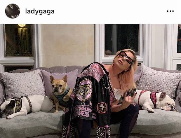 ปล่อยโจรผิดตัว!! ตั้งรางวัลนำจับหนึ่งในคนร้านปล้นสุนัขของ Lady Gaga