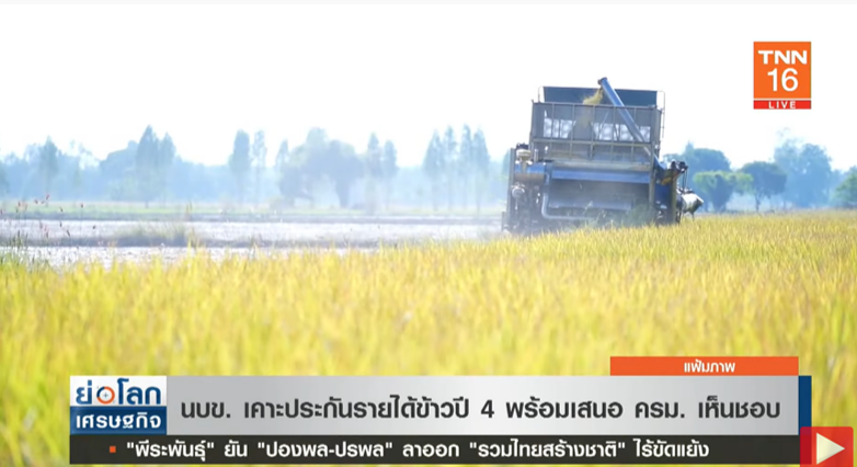 เกษตรกรเฮ! เคาะประกันรายได้ข้าวปี 4 พร้อมเสนอ ครม.เห็นชอบ เกษตรกรเฮ! เคาะประกันรายได้ข้าวปี 4 พร้อมเสนอ ครม.เห็นชอบ