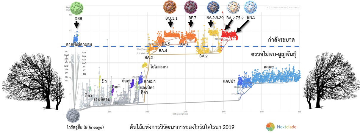 จับตา! โควิด 6 สายพันธุ์ย่อยกำลังระบาด พบในไทยแล้ว 3 สาย จับตา! โควิด 6 สายพันธุ์ย่อยกำลังระบาด พบในไทยแล้ว 3 สาย