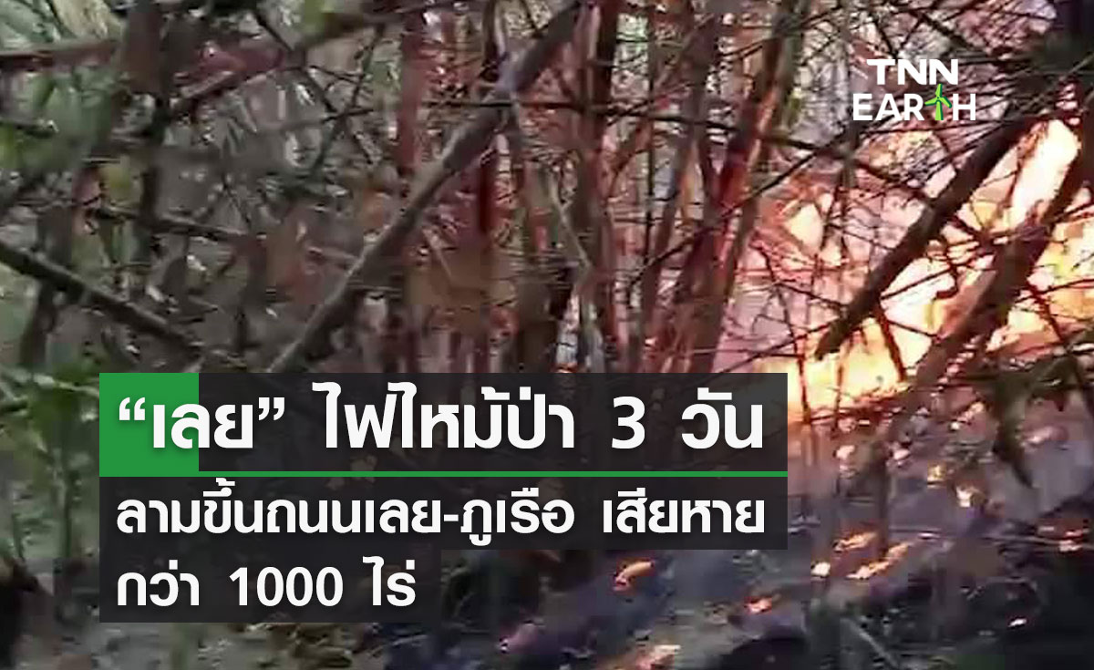  “เลย” ไฟไหม้ป่า 3 วัน ลามขึ้นถนนเลย-ภูเรือ เสียหาย กว่า 1000 ไร่