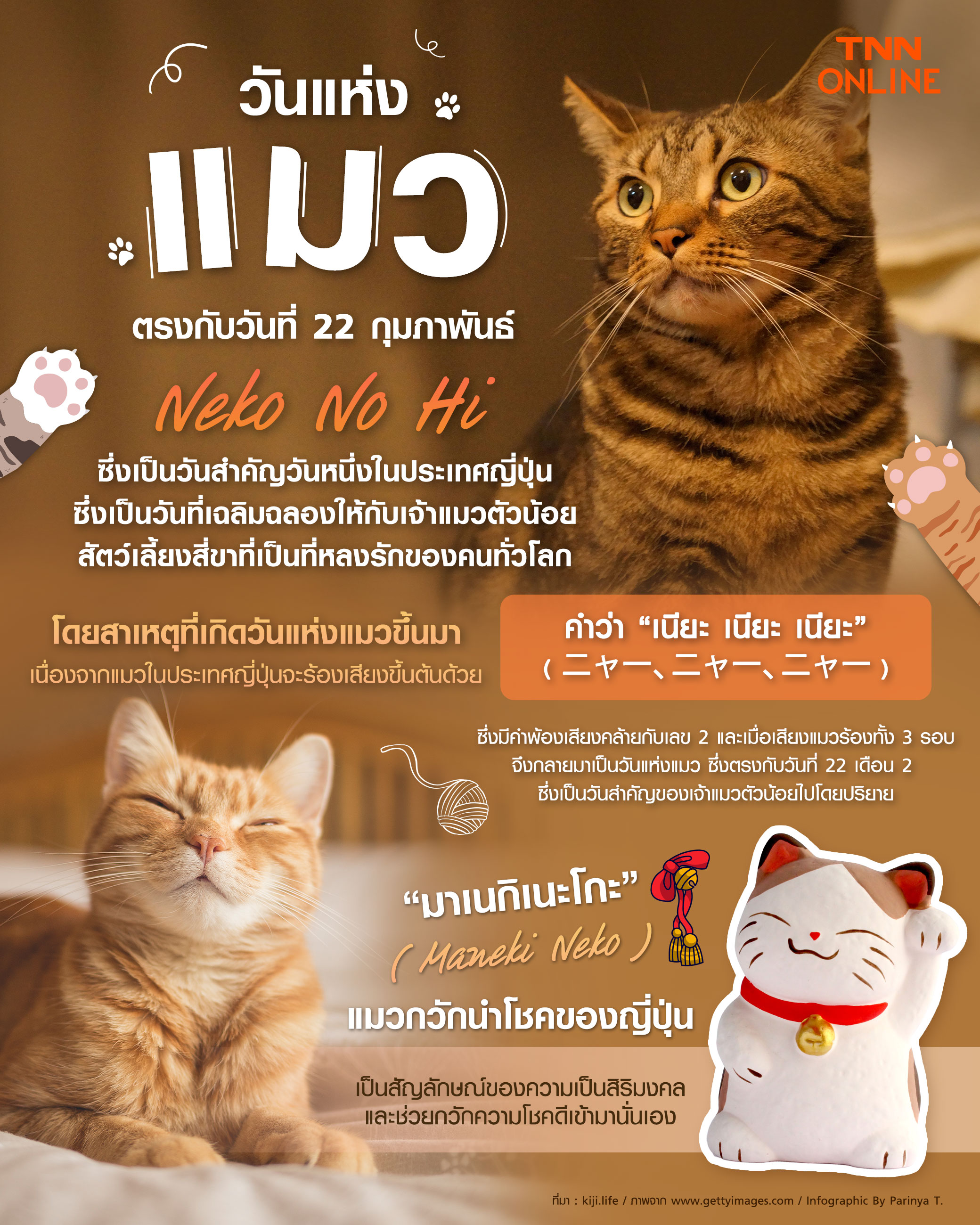 วันนี้วันอะไร วันแห่งแมว ตรงกับวันที่ 22 กุมภาพันธ์ วันนี้วันอะไร วันแห่งแมว ตรงกับวันที่ 22 กุมภาพันธ์