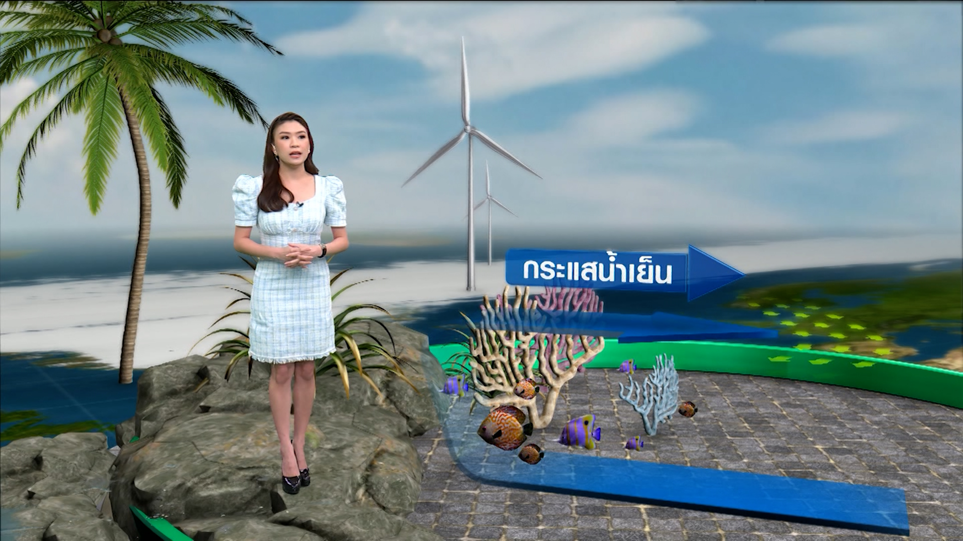 “ฉลาม” บุกชายฝั่งสหรัฐฯมากขึ้น เหตุจากปีนี้ “ลานีญา” แรง “ฉลาม” บุกชายฝั่งสหรัฐฯมากขึ้น เหตุจากปีนี้ “ลานีญา” แรง