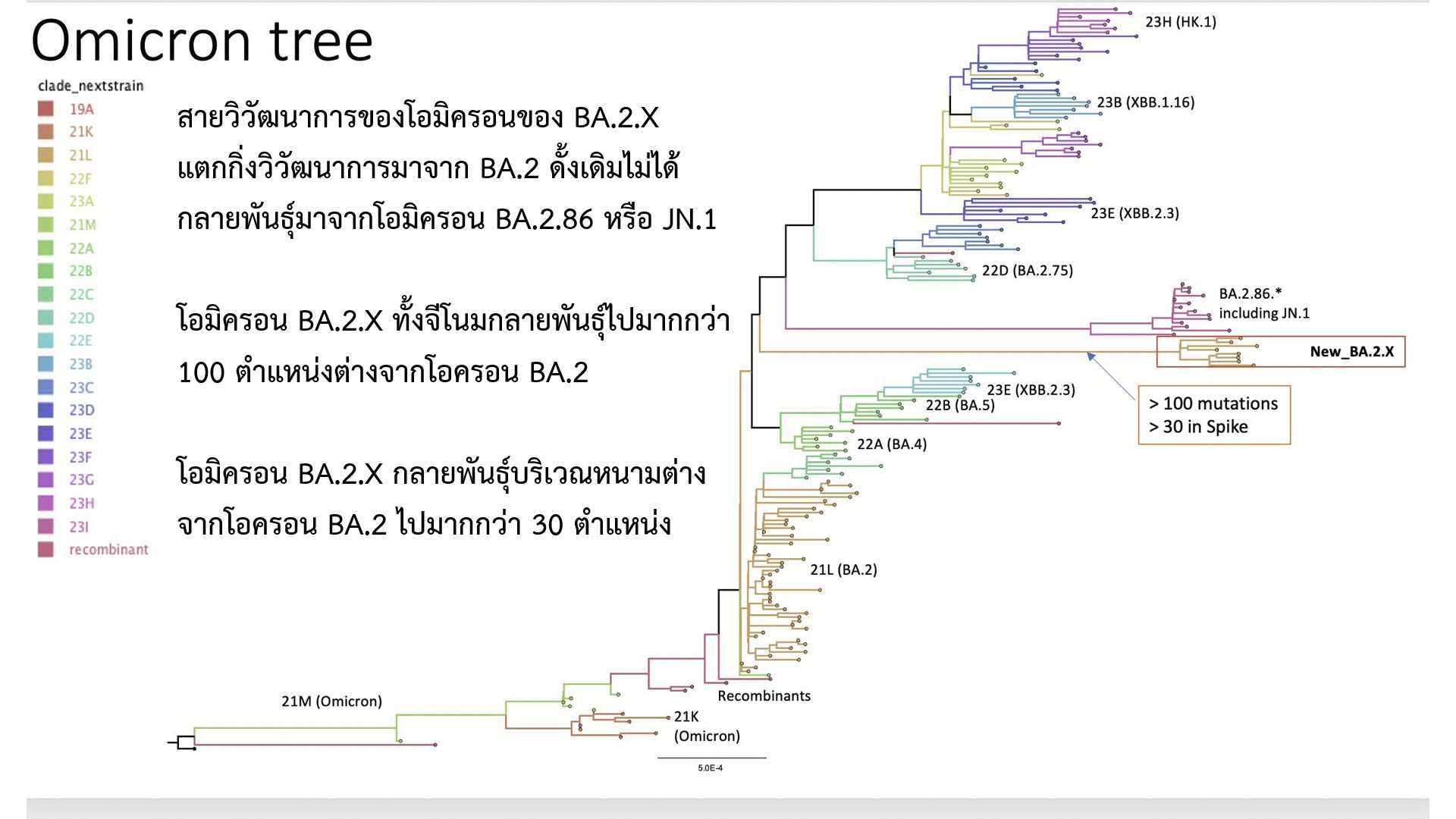 ผวา! พบ โอมิครอนสายพันธุ์ใหม่ BA.2.X กลายพันธุ์จาก BA.2 กว่า 100 ตำแหน่ง