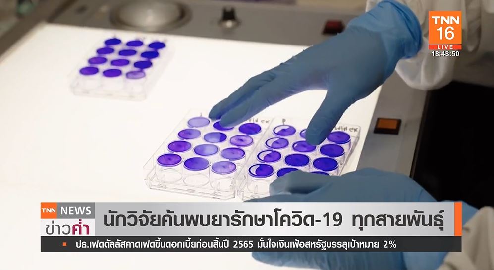 นักวิจัยออสเตรเลีย ค้นพบยารักษาโควิด-19 ทุกสายพันธุ์!