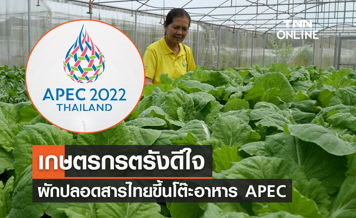APEC 2022 เกษตรกรตรังดีใจ ผักปลอดสารไทย ขึ้นโต๊ะอาหารเอเปค